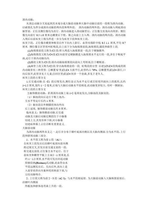 颈内动脉