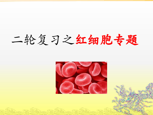 二轮复习之红细胞专题课件