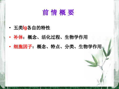 七MHC精品PPT课件