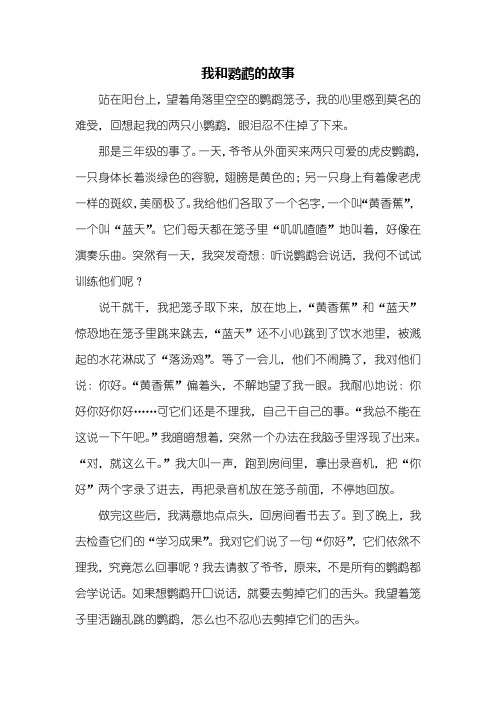 五年级作文：我和鹦鹉的故事作文600字