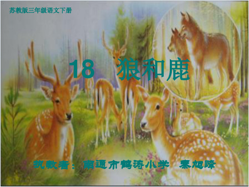 18《狼和鹿》第一课时