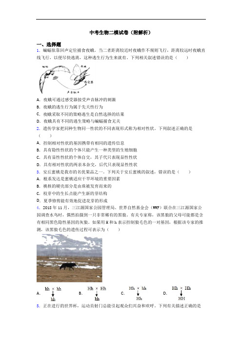 中考生物二模试卷(附解析)