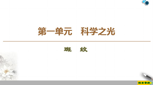 高中苏教版语文必修5  第1单元  斑 纹课件PPT