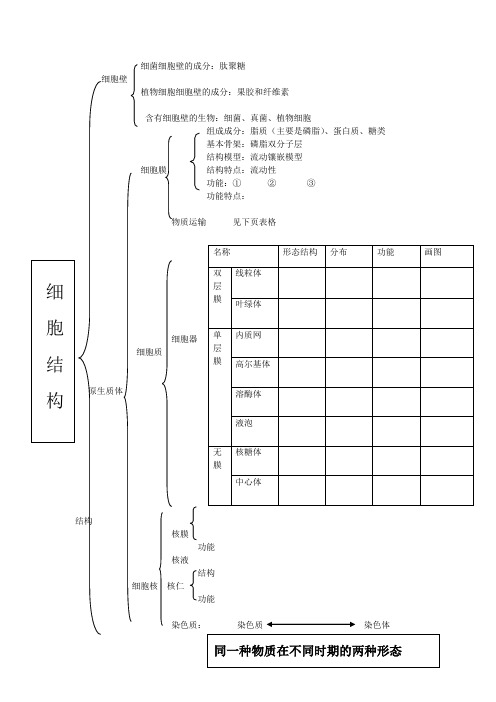 细胞的基本结构中图版必修一生物基础知识