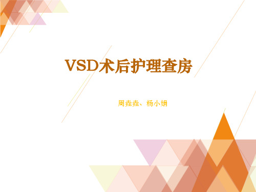 VSD护理教学查房