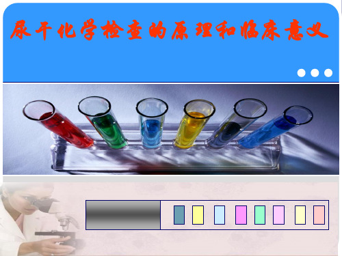 尿液干化学检查的临床意义