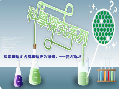 济南版生物七年级下册第二章第二节《人体内能量的利用》课件