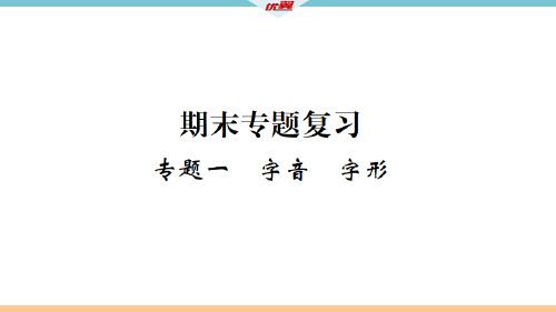 秋七年级语文(武汉)上册期末专题复习课件：专题一.pptx (共20张PPT)