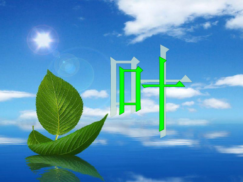 叶字简介