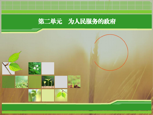 2018年政治同步优化指导必修2课件：第3课 第1框 政府：国家行政机关 精品