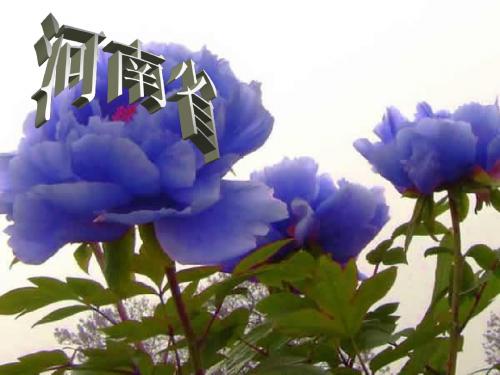 中原之州——河南省