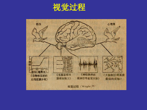 多宝视多媒体视觉训练系统全面介绍资料