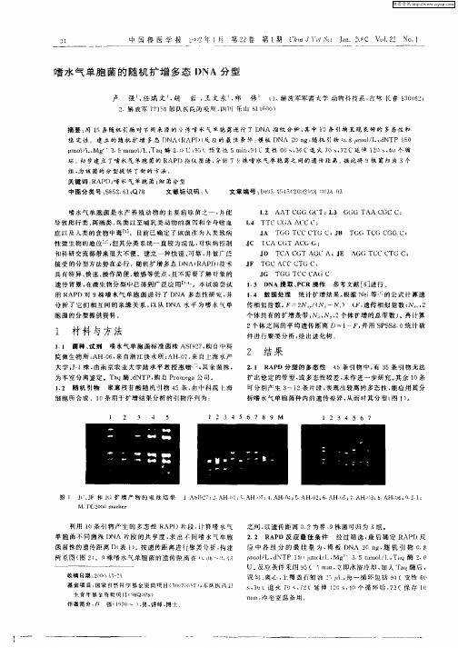 嗜水气单胞菌的随机扩增多态DNA分型