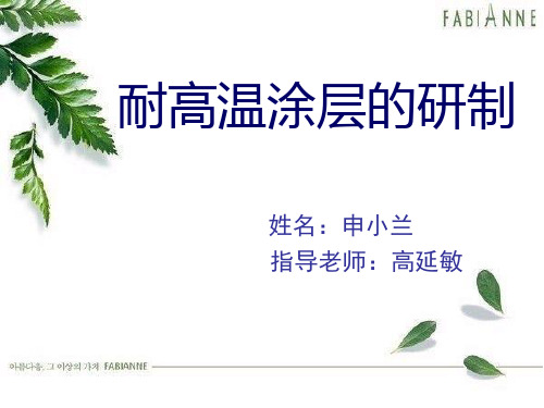 耐高温涂层的研制