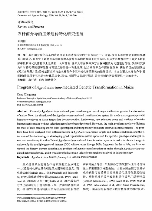 农杆菌介导的玉米遗传转化研究进展