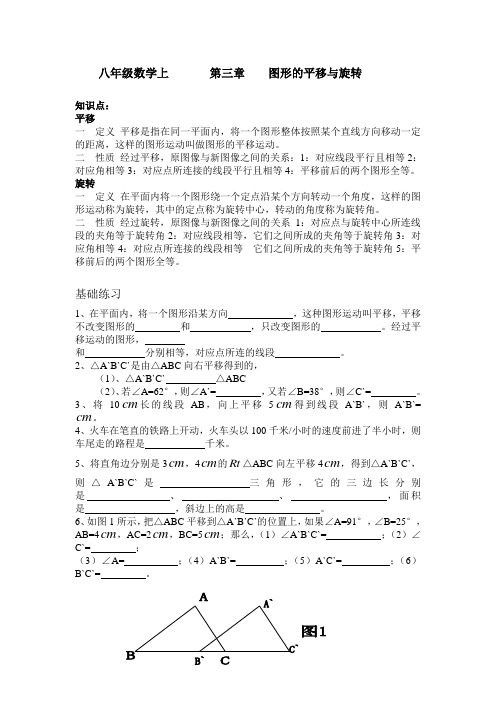 八年级数学上       第三章    图形的平移与旋转