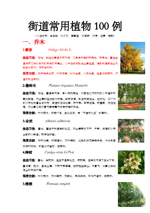 街道常用植物100例1