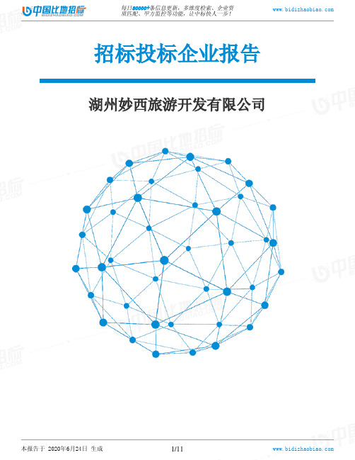 湖州妙西旅游开发有限公司-招投标数据分析报告