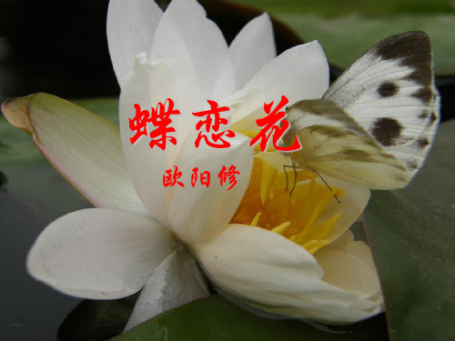 【高中语文】蝶恋花·庭院深深深几许ppt精品课件1