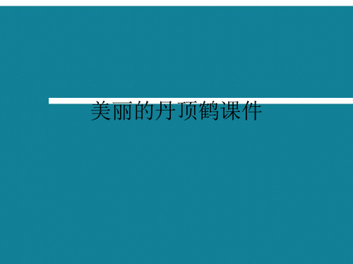 优选美丽的丹顶鹤课件