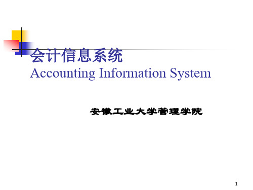 会计信息系统审计简介