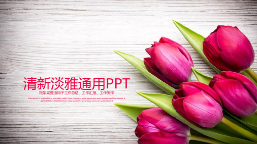 玫瑰爱情风格PPT模板