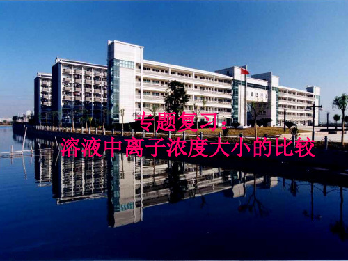溶液中的离子浓度大小比较PPT下载
