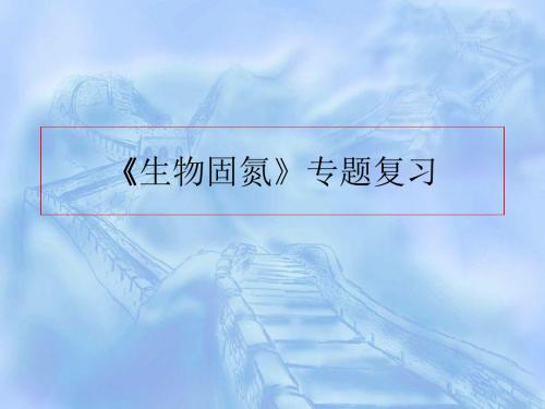 生物固氮专题复习ppt 人教版
