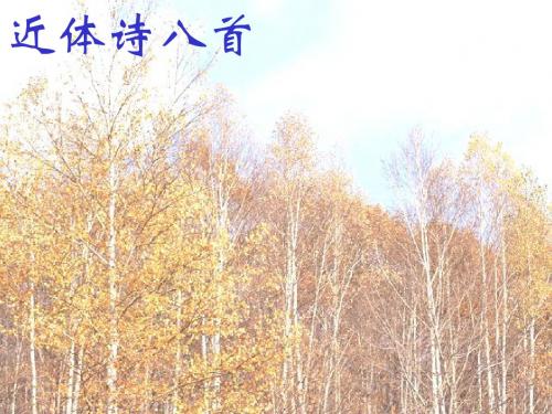 登高蜀相ppt13