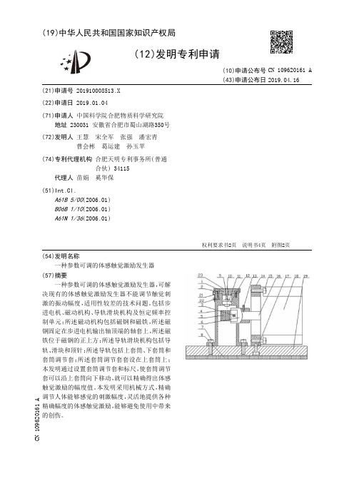 【CN109620161A】一种参数可调的体感触觉激励发生器【专利】