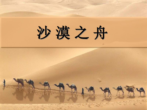 《沙漠之舟》1精品PPT课件