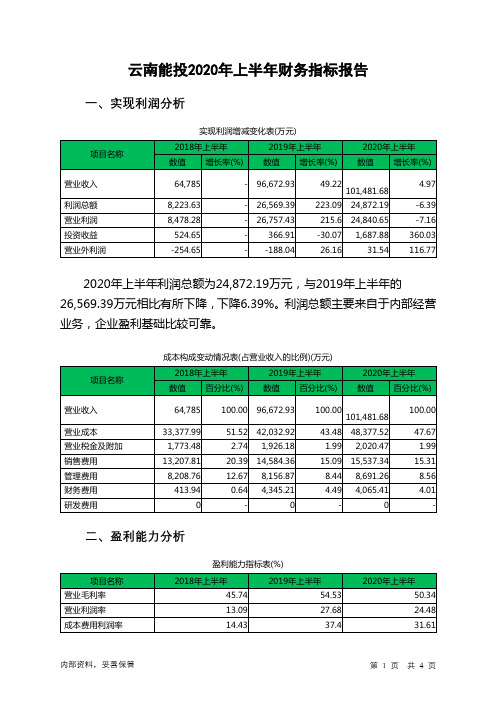 云南能投2020年上半年财务指标报告