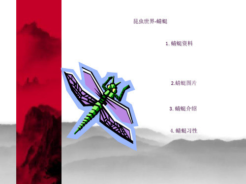 昆虫的世界——蜻蜓ppt课件