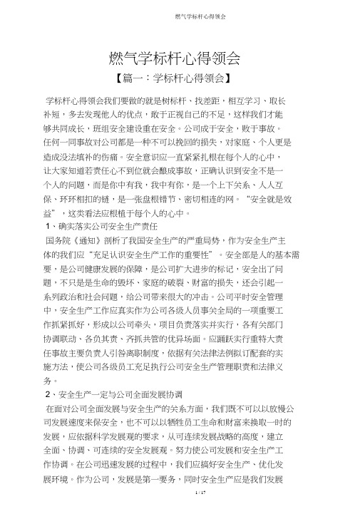 燃气学标杆心得体会
