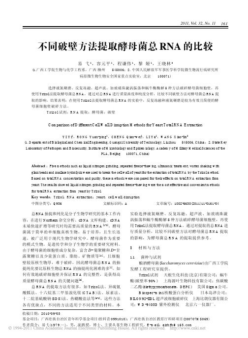 不同破壁方法提取酵母菌总RNA的比较