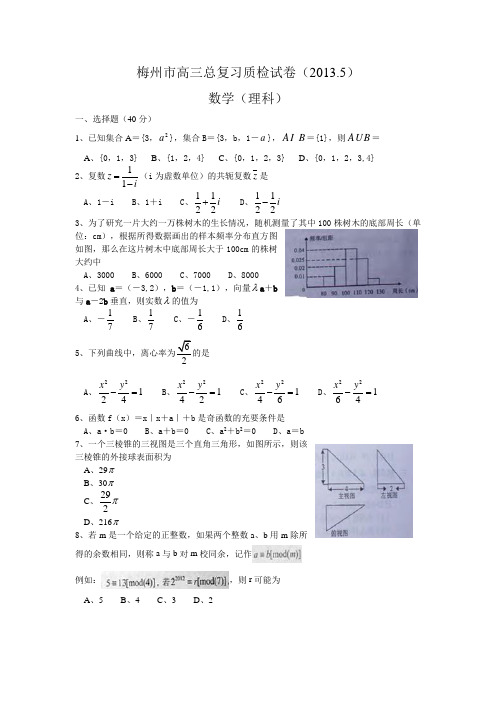 广东省梅州市2013届高三5月复习质检(二)数学(理)试题(WORD版)