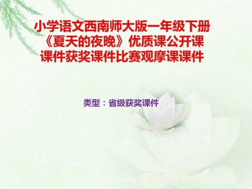 小学语文西南师大版一年级下册《夏天的夜晚》优质课公开课课件获奖课件比赛观摩课课件B005