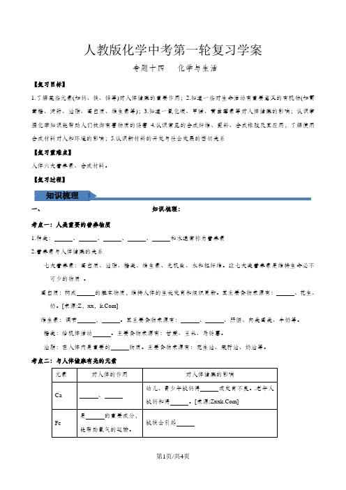 人教版初中化学九年级一轮 专题14  化学与生活 学案2