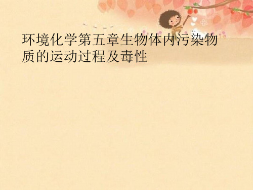 环境化学第五章生物体内污染物质的运动过程及毒性优秀课件