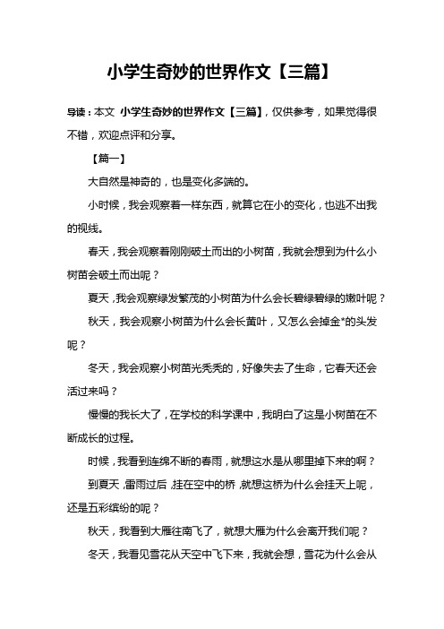 小学生奇妙的世界作文【三篇】