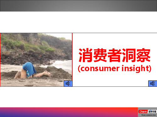 [实用参考]关于消费者洞察的几个例子.ppt