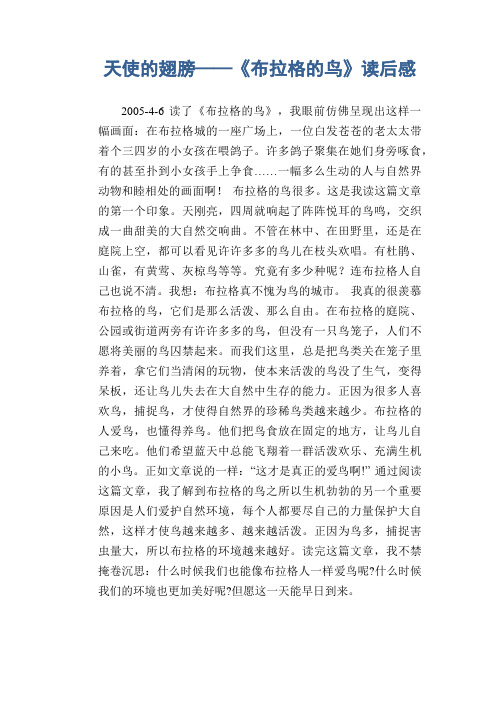 初中生满分作文：天使的翅膀——《布拉格的鸟》读后感