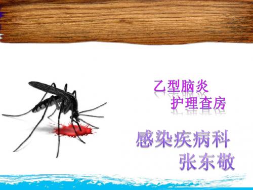 脑炎护理查房