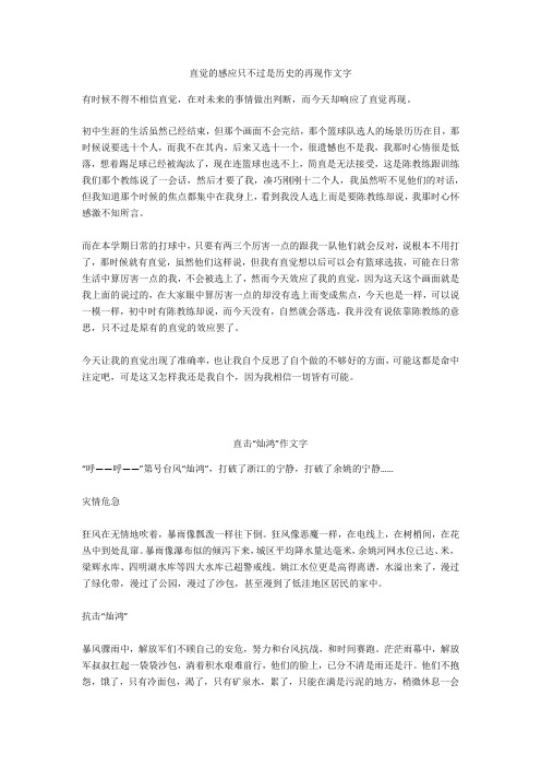 直击“灿鸿”作文600字