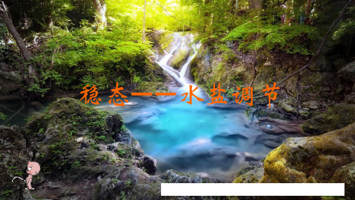 06稳态——水盐调节_05肾小管和集合管的分泌