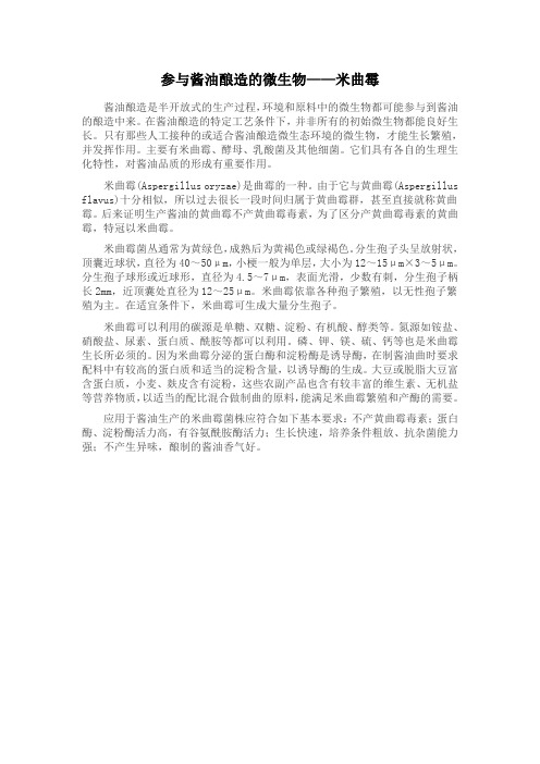 参与酱油酿造的微生物--米曲霉