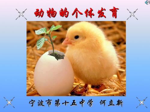 八年级科学下(华师大版)第八章第二课时动物的个体发育