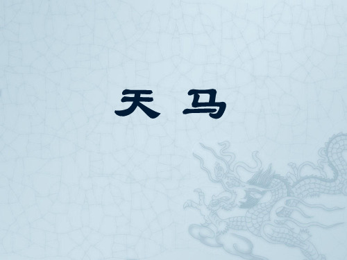 《天马》1精品PPT课件