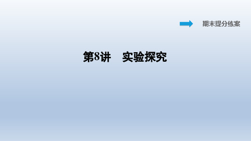 2020春人教版九年级化学下册点拨习题 第8讲 实验探究