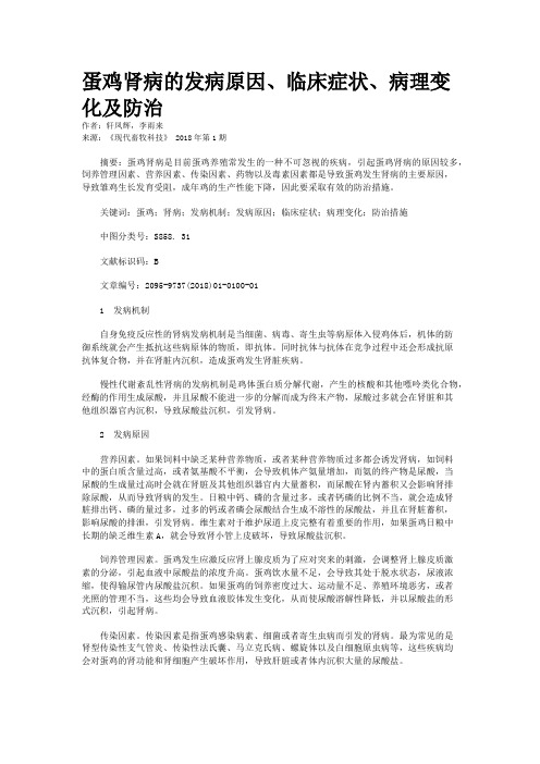 蛋鸡肾病的发病原因、临床症状、病理变化及防治